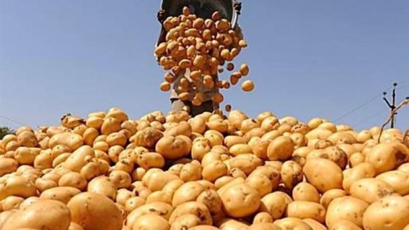 بوابة الكلمة
