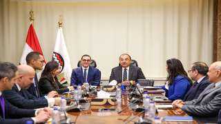 وزيرا قطاع الأعمال العام والاستثمار يبحثان التعاون في الترويج للفرص الاستثمارية بقطاع الغزل والنسيج