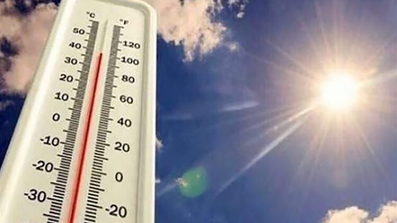 بوابة الكلمة