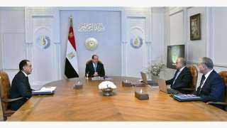 الرئيس السيسي يجتمع مع رئيس الوزراء ووزير الكهرباء