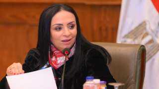 وزيرة التضامن توجه بسرعة تقديم الدعم اللازم للأسر المتضررة في حادث مخزن الحدايد والبويات بقرية البراجيل