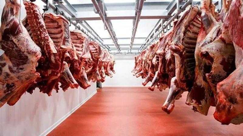 أسعار اللحوم الحمراء اليوم الإثنين