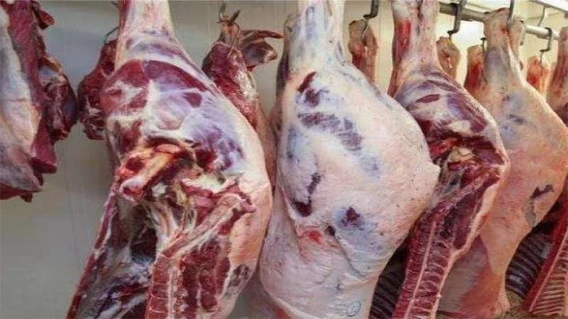 بوابة الكلمة