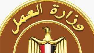 وزارة العمل تعلن عن وظائف جديدة بشركة كهرباء بمرتبات تصل إلى 13 ألف جنيه