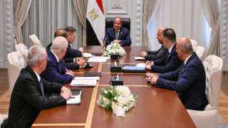 الرئيس السيسي يلتقي مدير العام لهيئة الدولة للطاقة النووية ”روسأتوم” الروسية