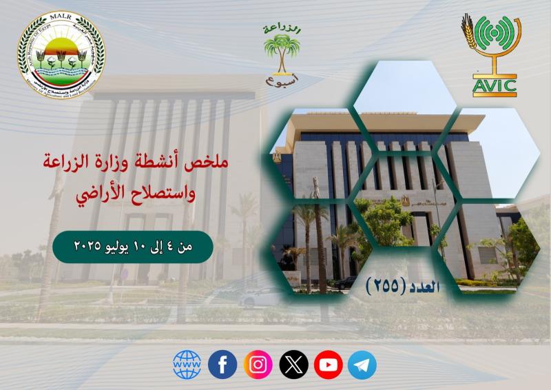 بوابة الكلمة