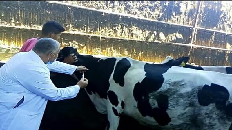 بوابة الكلمة
