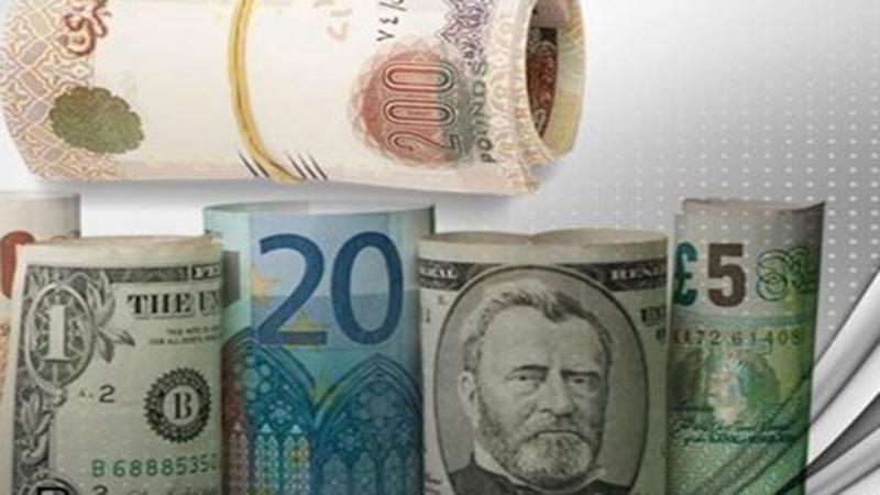 بوابة الكلمة