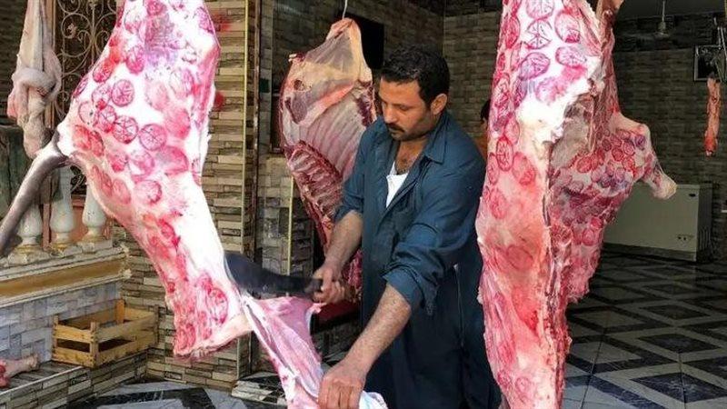 بوابة الكلمة