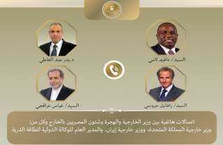 وزير الخارجية يواصل اتصالاته المكثفة لخفض التصعيد بالمنطقة