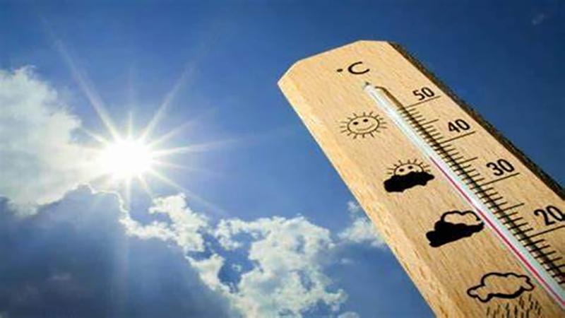 بوابة الكلمة