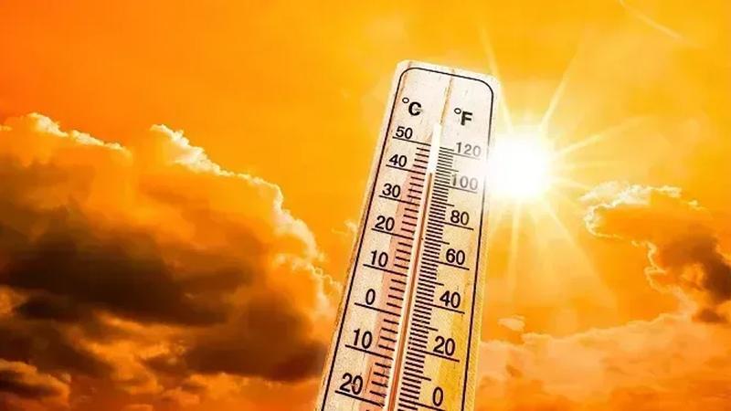بوابة الكلمة