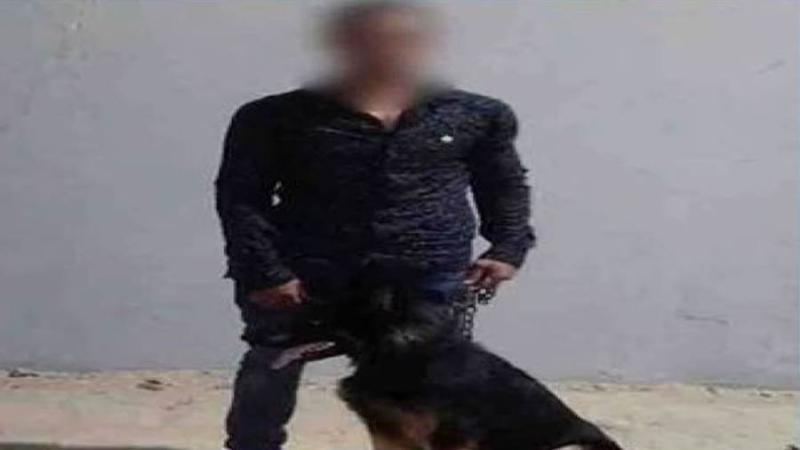 بوابة الكلمة