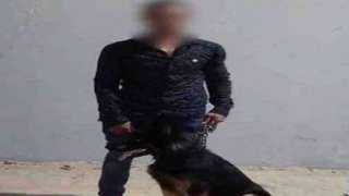 كشف ملابسات مقطع فيديو تضمن قيام شخص بإصطحاب كلب وممارسة أعمال البلطجة بالإسماعيلية