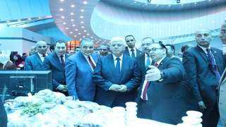 وزير التعليم العالي ومحافظ كفر الشيخ ورئيس الجامعة يفتتحون عددًا من المشروعات بجامعة كفر الشيخ