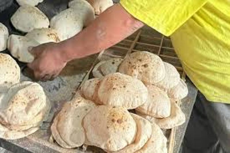 بوابة الكلمة