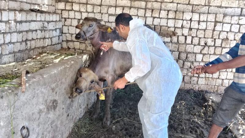 بوابة الكلمة