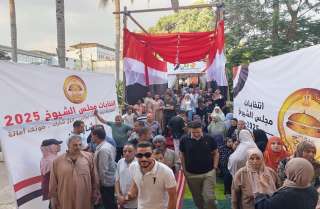 «تعيشي يا مصر».. أجواء مبهجة في محيط لجان انتخابات مجلس الشيوخ