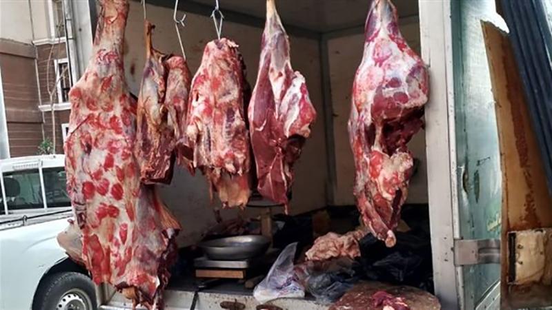 بوابة الكلمة
