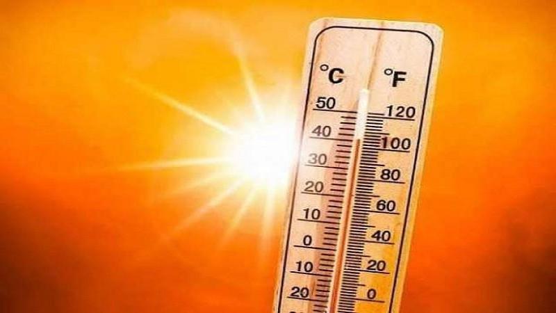 بوابة الكلمة