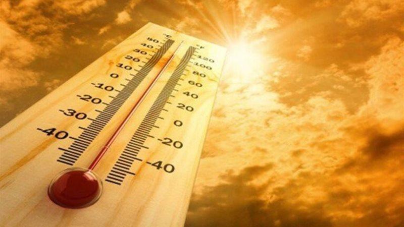 بوابة الكلمة