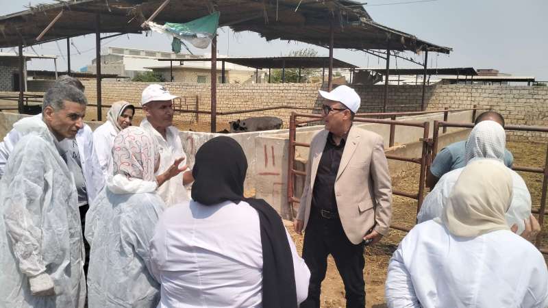 بوابة الكلمة