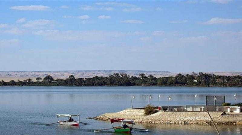”جهاز حماية وتنمية البحيرات” يطلق الدفعة الثالثة من يرقات الجمبري في بحيرة قارون ـ الفيوم