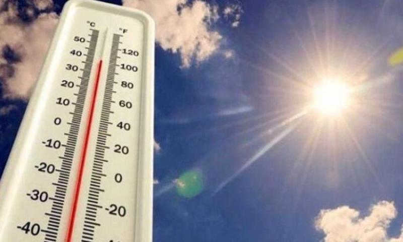 بوابة الكلمة