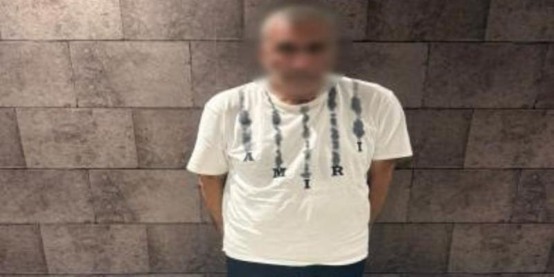بوابة الكلمة