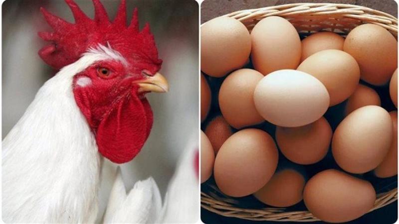 بوابة الكلمة
