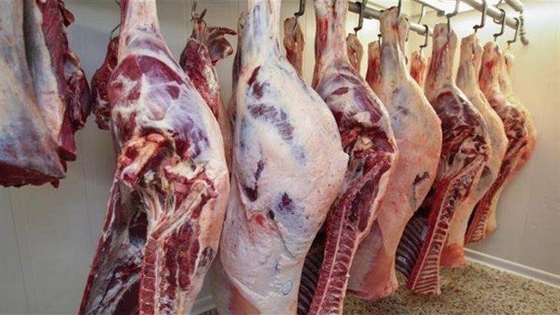 بوابة الكلمة