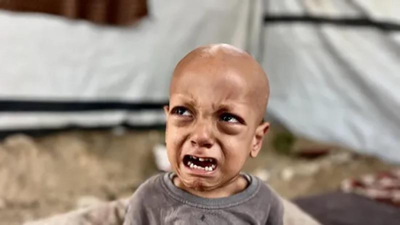 بوابة الكلمة