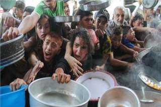 مصر تعرب عن بالغ قلقها من التقارير حول حالة المجاعة في قطاع غزة