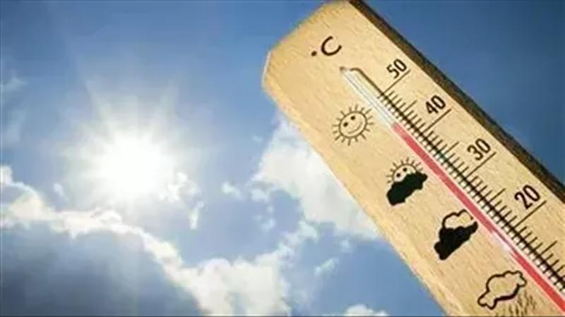 بوابة الكلمة