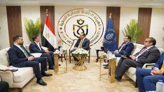 هيئة الرعاية الصحية تطلق منصة وطنية للكشف والتطبيب عن بُعد من خلال الكفاءات الطبية المصرية بالخارج