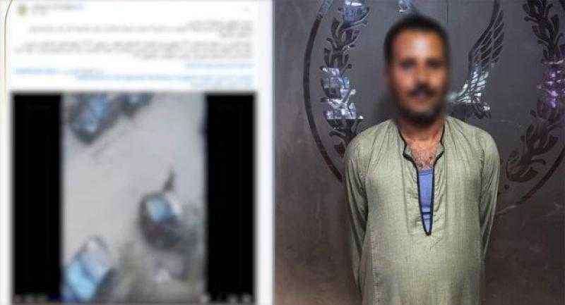 كشف ملابسات فيديو تضمن قيام أحد الأشخاص بالتعدى على ”كلب ضال” بإستخدام عصا شومة بالقاهرة