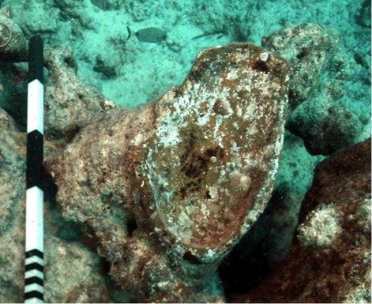 الكشف عن شواهد أثرية تؤكد وجود ميناء قديم مغمور بالمياه في منطقة معبد تابوزيريس ماجنا بالإسكندرية