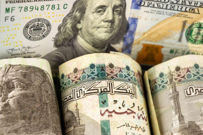 بوابة الكلمة