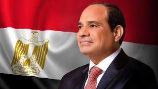 الرئيس السيسي يستقبل رئيس شبكة الآغا خان للتنمية