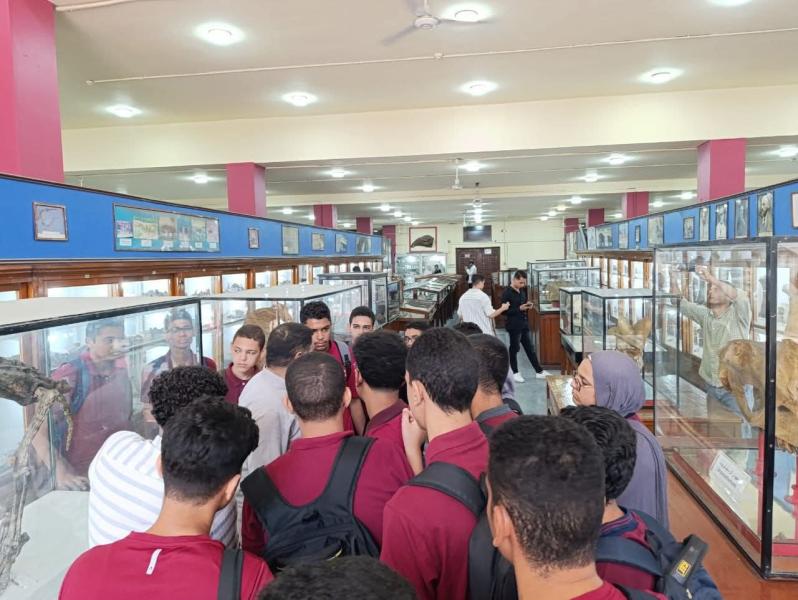 بوابة الكلمة