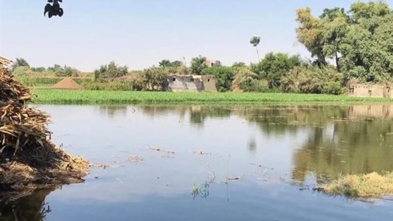 بوابة الكلمة