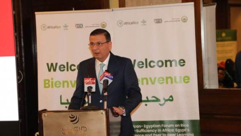 بوابة الكلمة