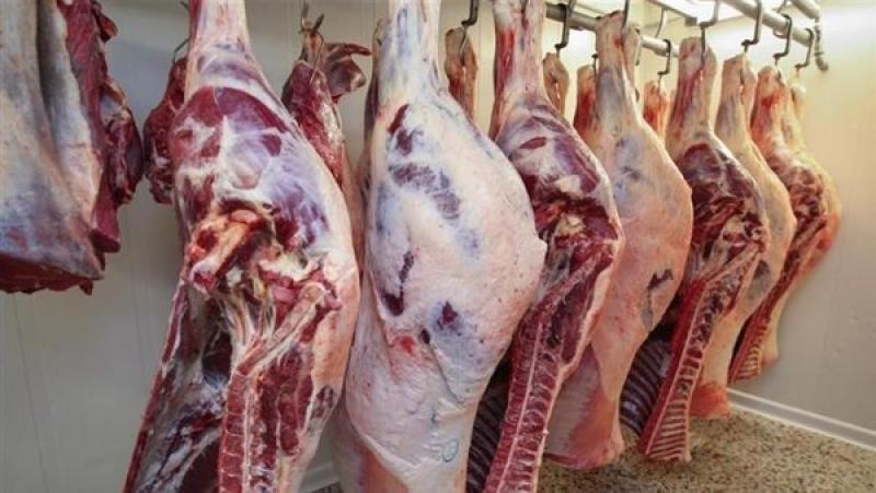 بوابة الكلمة