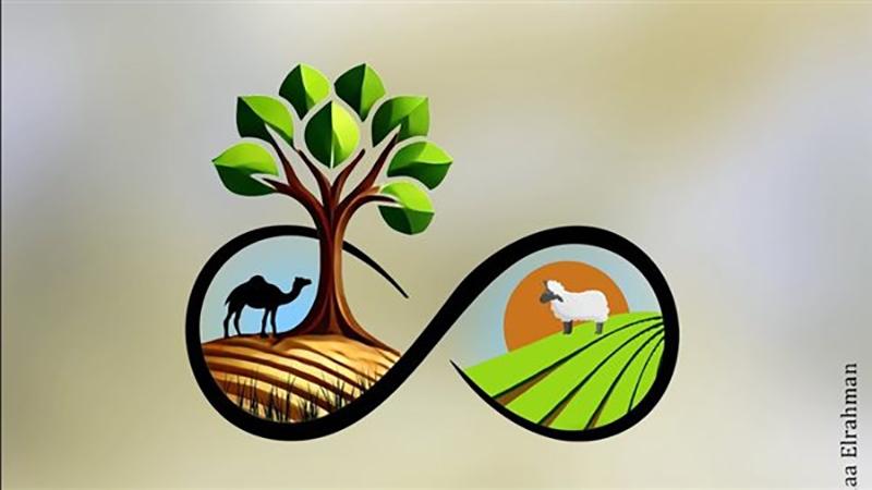 بوابة الكلمة
