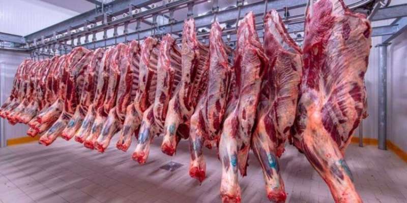 بوابة الكلمة