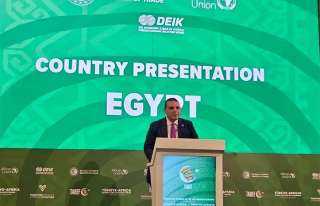 رئيس التمثيل التجاري المصري يشارك في منتدى الأعمال والاقتصاد: تركيا – أفريقيا بإسطنبول