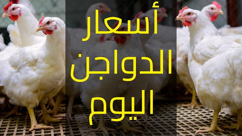 بوابة الكلمة