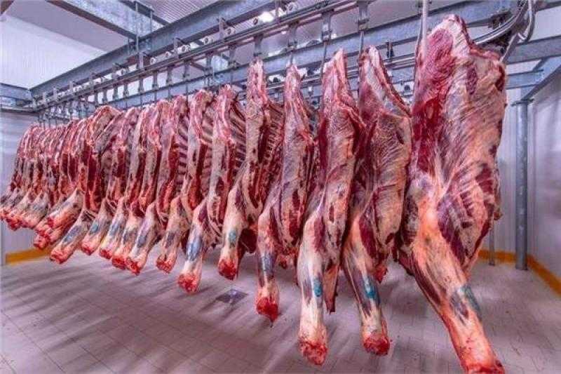 أسعار اللحوم في مصر اليوم السبت