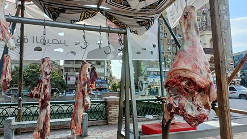 بوابة الكلمة