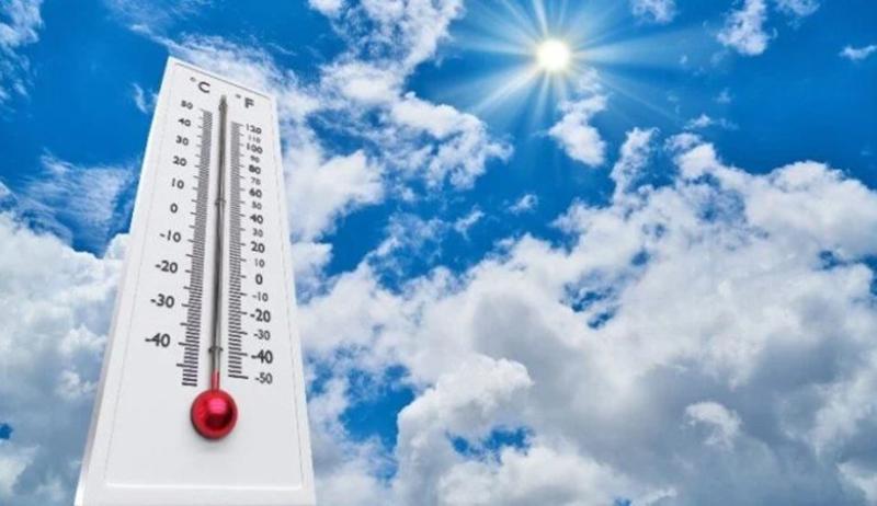 بوابة الكلمة